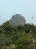 Filename=CIMG1639.JPG
Filesize=170KiB
Dimensions=810x1080
Date added=Jul 06, 2012 CIMG1639.JPG