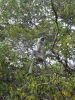 Filename=CIMG1793.JPG
Filesize=309KiB
Dimensions=810x1080
Date added=Jul 06, 2012 CIMG1793.JPG