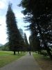 Filename=CIMG2093.JPG
Filesize=238KiB
Dimensions=810x1080
Date added=Jul 06, 2012 CIMG2093.JPG