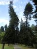 Filename=CIMG2094.JPG
Filesize=253KiB
Dimensions=810x1080
Date added=Jul 06, 2012 CIMG2094.JPG